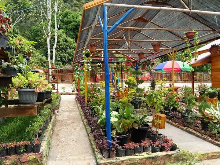 Dua Tempat Ini Patut Kamu Kunjungi jika Berwisata ke Lembah Harau