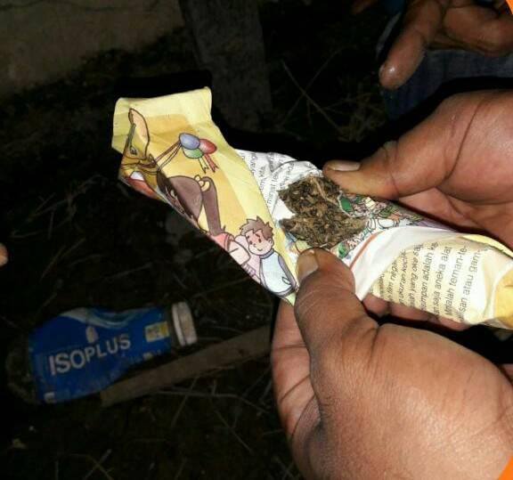 Dua Pelaku Bisnis Narkoba Jenis Ganja, Diciduk Satresnarkoba Polres Payakumbuh