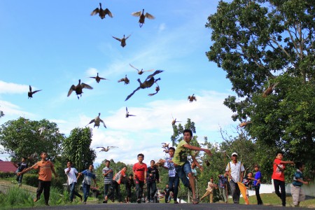 Tradisi Pacu Itik Akan Diangkat ke Layar Lebar