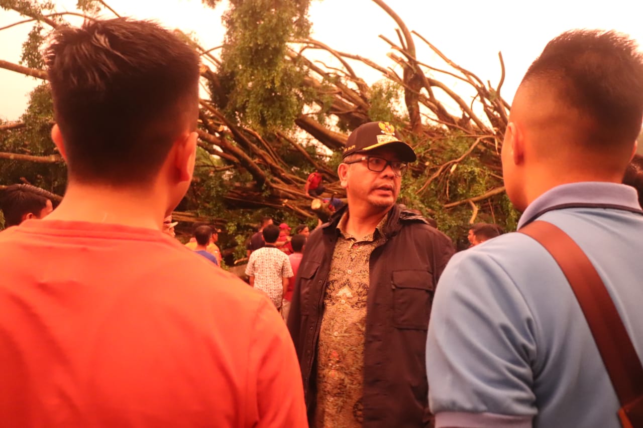 Banyak Pohon Tumbang, Walikota Riza Falepi Turun Ke Lokasi