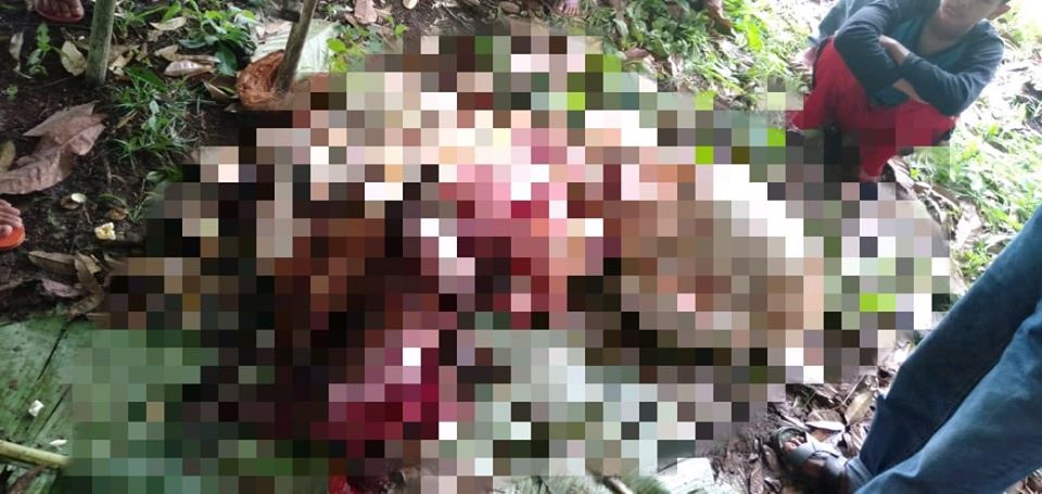 Warga Limbukan Payakumbuh Dikagetkan Dengan Penemuan Bangkai Sapi Mutilasi, Diduga Ternak Hasil Curian