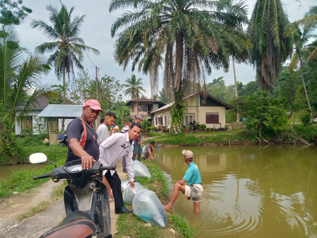 Lepas 10 Ribu Bibit Nila, Karang Taruna Sopan Santun Kembangkan UEP