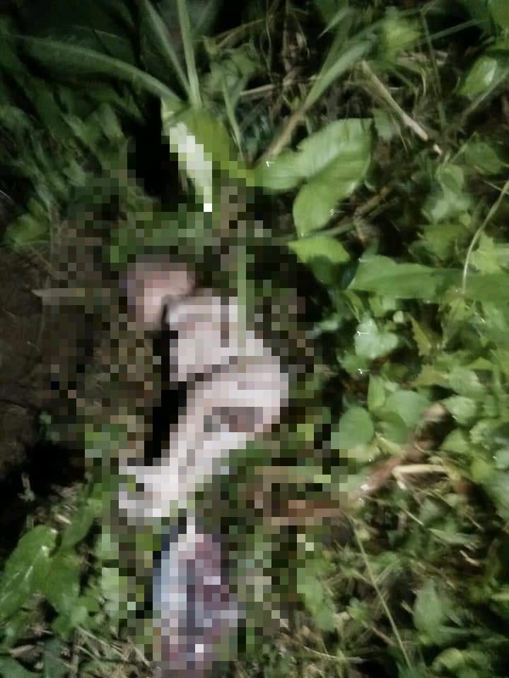 Warga Tanjung Aro Sikabu digegerkan Dengan Penemuan Bayi Tak Berdosa