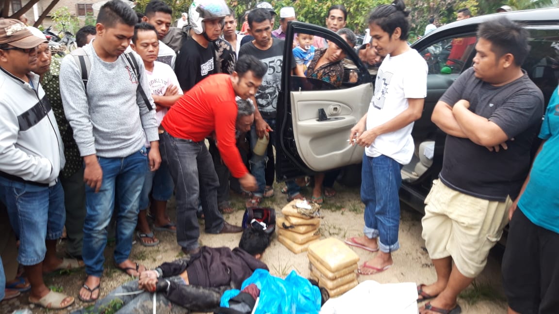 Nekad, Bawa 9 Kg Ganja Kering Warga Payakumbuh Ditangkap di Pasaman