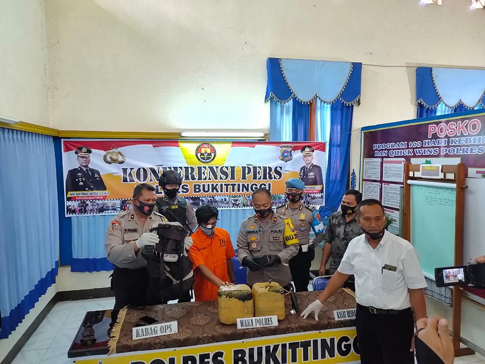 Apes! Hendak Edarkan Narkoba Jenis Ganja Kering 11 Kg di Payakumbuh, Dua Pemuda ini Malah Kecelakaan