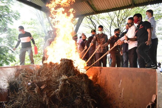 Wali Kota Hadiri Pemusnahan BB Ganja Tangkapan Polres Kota Payakumbuh Di TPA Padang Karambia