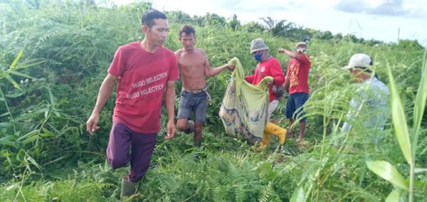 Petani Dumai Ditemukan Tewas Tercabik Cabik Dimakan Harimau Sumatera