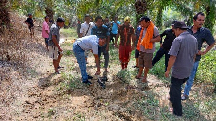 Petani Sawit Ditemukan Tewas Tergeletak, Diduga Menjadi Korban Keganasan Gajah Liar
