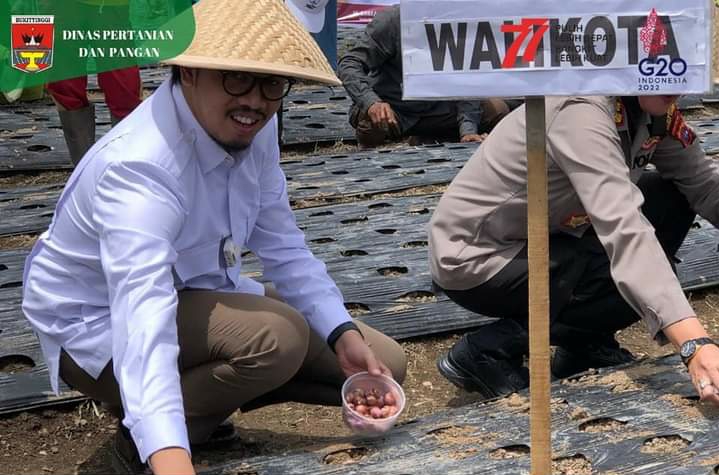 Walikota, Gerakkan Masyarakat Menanam Bawang Merah Dikebun Dan Pekarangan Untuk Atasi Inflasi