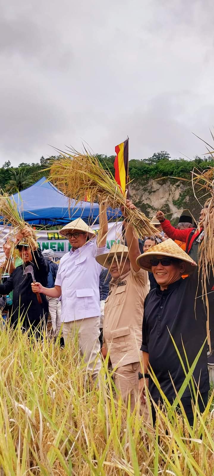 Panen Raya Padi Poktan Ngarai Saiyo, Lahan Pertanian Dukung Pariwisata