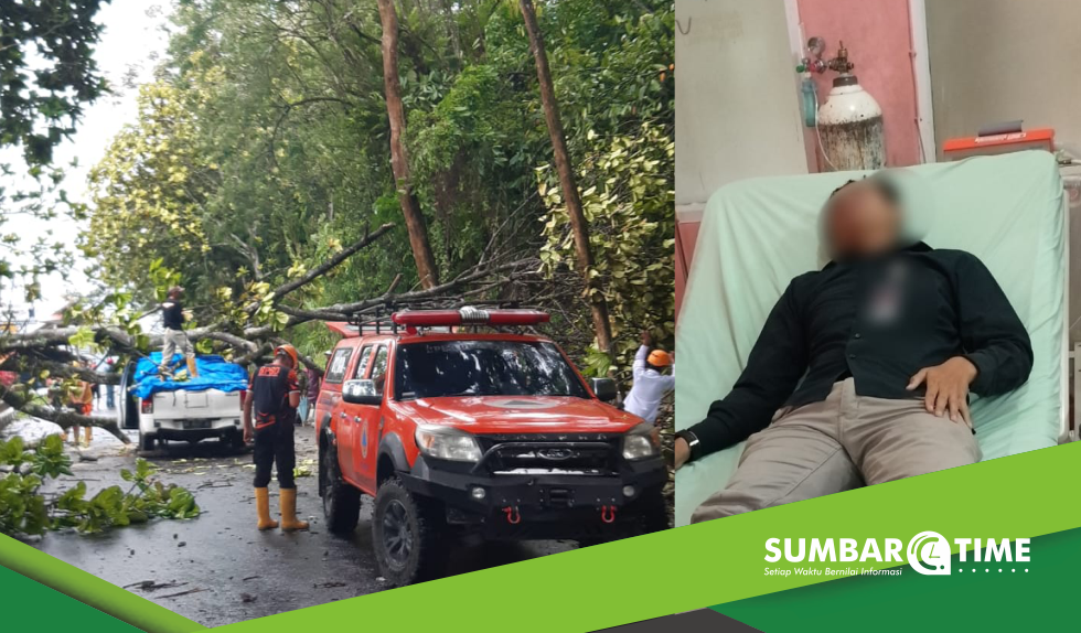 Diterpa Angin Kencang, Pohon Tumbang Timpa Pick Up Doble Cabin, BPBD Bukittinggi Siaga