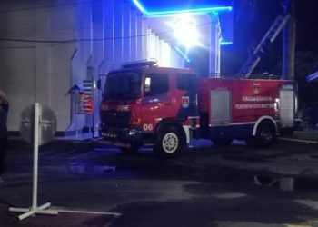 Sarang Lebah Madu di Evakuasi Tim Damkar, Havid: Segala Bantuan dari Pemadam Kebakaran Tidak Dipungut Biaya