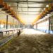 Gubernur Sumbar Resmikan Usaha Peternakan Ayam Potong Modern Dengan Sistem Blower