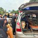 Tersengat Listrik Saat Banjir, Seorang Warga Meninggal Dunia di Padang Laweh