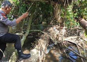 Penemuan Mayat Pria di Sungai Batang Sinamar Sijunjung, Kondisi Mulai Membusuk
