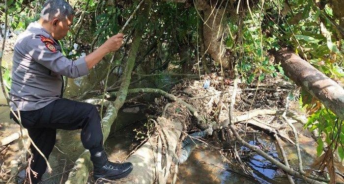 Penemuan Mayat Pria di Sungai Batang Sinamar Sijunjung, Kondisi Mulai Membusuk