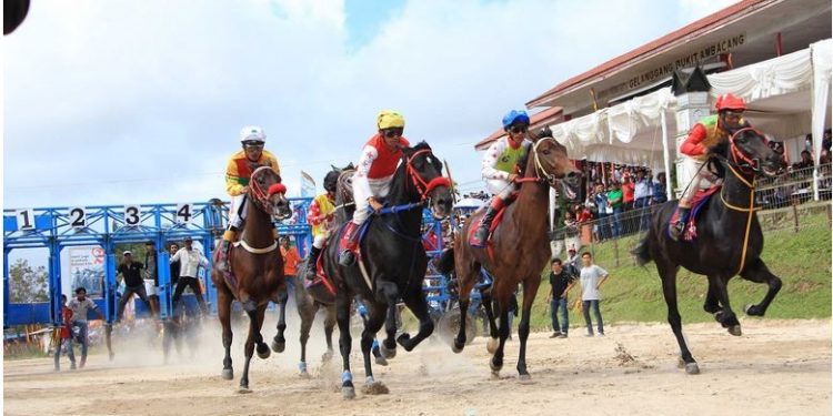 Lama Absen, Pacuan Kuda Bukittinggi – Agam Siap Digelar 19 Maret 2023 Mendatang