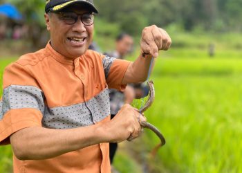 Sarasah Sonsang Festival, Marfendi: Jadi Peserta Memancing Baluik, Mengenang Waktu Kecil Dulu
