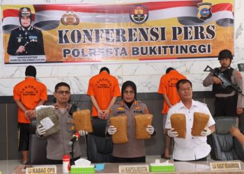 Polresta Bukittinggi Gagalkan Pengiriman 17,4 Kg Ganja
