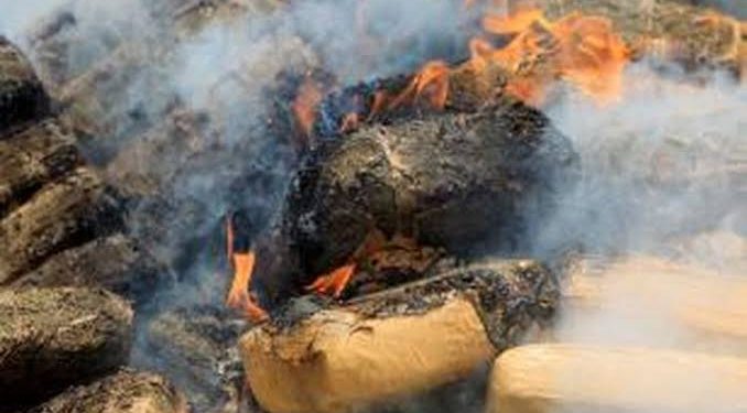 Polda Sumsel Memusnahkan 70,8 Kg Ganja Kering yang berasal dari sumbar