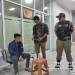 Pol PP Kota Bukittinggi Amankan Pria Diduga Gay yang Mencari Pelanggan Secara Online