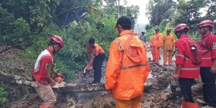 Tebing di Tepi Jalan Lubuk Basung-Bukittinggi Tertutup Longsor, Akses Jalan Masih Buka Tutup