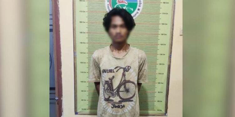 Tim Karanggo Polres Padang Panjang Kembali Tangkap Pengedar Ganja