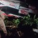 Bus Terperosok ke Jurang di Sitinjau lauik puluhan korban terluka, Tidak Ada Korban Jiwa