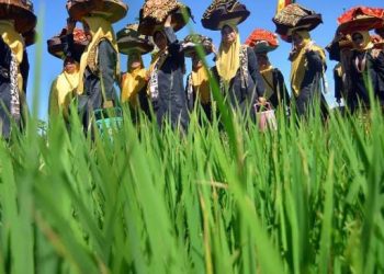 Festival Limo Kaum Malomang 2023 untuk Memperkuat Kearifan Lokal dan Pariwisata