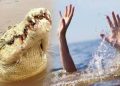 Kronologi Ditemukannya Warga yang Diterkam Buaya di Pesisir Selatan Sumbar, 8 Km dari Lokasi Kejadian