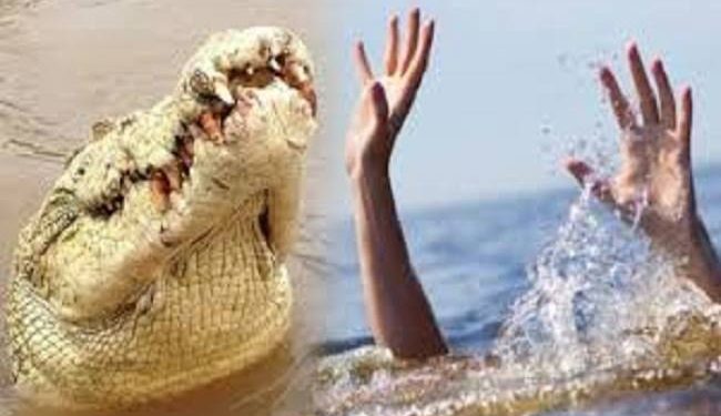 Kronologi Ditemukannya Warga yang Diterkam Buaya di Pesisir Selatan Sumbar, 8 Km dari Lokasi Kejadian