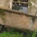 Hampir 2 Tahun, Drainase Rumah Warga ini Belum Juga Mendapatkan Perhatian Pemerintah.