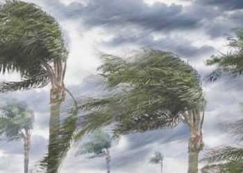 Hujan Berkepanjangan Ancam Gagal Panen Petani di Sumatera Barat