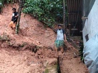 Hujan Deras di Padang Sebabkan Pohon Tumbang dan Longsor Melanda Rumah Warga