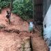 Hujan Deras di Padang Sebabkan Pohon Tumbang dan Longsor Melanda Rumah Warga