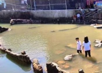 Viral Batu Malin Kundang di Pantai Air Manis Kota Padang Tenggelam banjir
