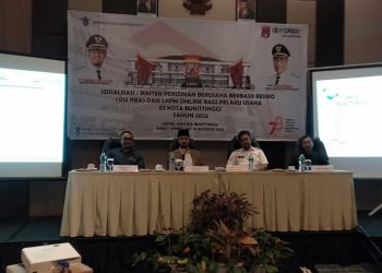 Sosialisasi/Bimtek Perizinan Berusaha Berbasis Resiko, DPMPTSP: Pentingnya NIB
