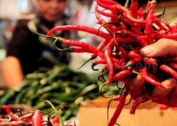 Harga Daging Ayam dan Cabai di Padang Panjang Naik