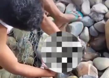 Seorang Bayi Mungil Cantik Ditemukan Warga Atas Batu di Pesisir Selatan