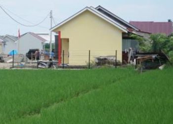 Alih Fungsi Jadi Perumahan, Areal Persawahan di Padang Terus Menyusut