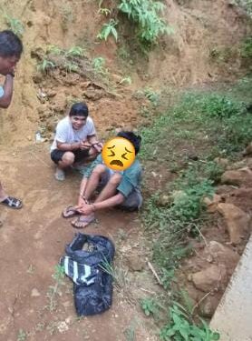 Diduga Hendak Transaksi Ganja, Seorang Pemuda Diringkus Satresnarkoba Polres Pasaman Barat di Sebuah Rumah Sepi