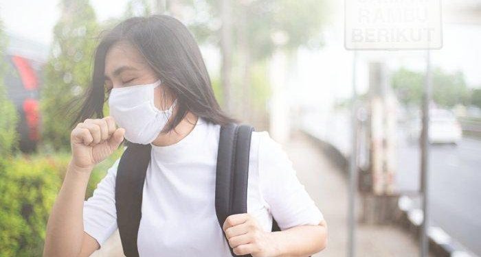 Gawat! Maraknya Pengrusakan Lingkungan Diduga Penyebab Kualitas Udara Menurun di Padang
