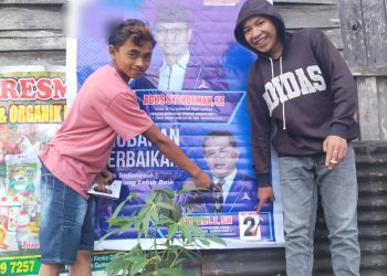 Petani di Sungai Nanam Ikut Pileg, Baliho Caleg Partai Demokrat di Solok Hilang Setelah Dipasang