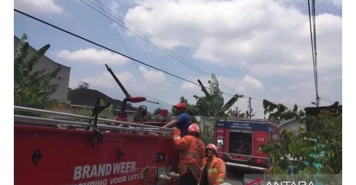 Akibat Korsleting Listrik Kandang Kuda di Bukittinggi Hangus Terbakar