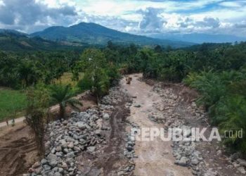 430 Hektare Lahan Pertanian Rusak Akibat Banjir di Pasaman Barat