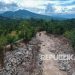 430 Hektare Lahan Pertanian Rusak Akibat Banjir di Pasaman Barat
