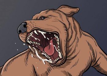 Fenomena Anjing Gila Bikin Geger Warga di Padang Gigit Sejumlah Orang di Pauh Padang, Berikut Daftar Korban