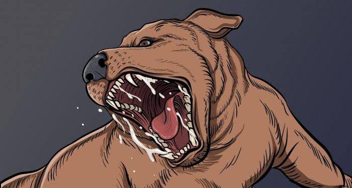 Fenomena Anjing Gila Bikin Geger Warga di Padang Gigit Sejumlah Orang di Pauh Padang, Berikut Daftar Korban