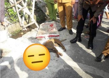 Beginilah Update Kondisi Terkini 22 Warga Padang yang Digigit Anjing Rabies yang Sempat Viral