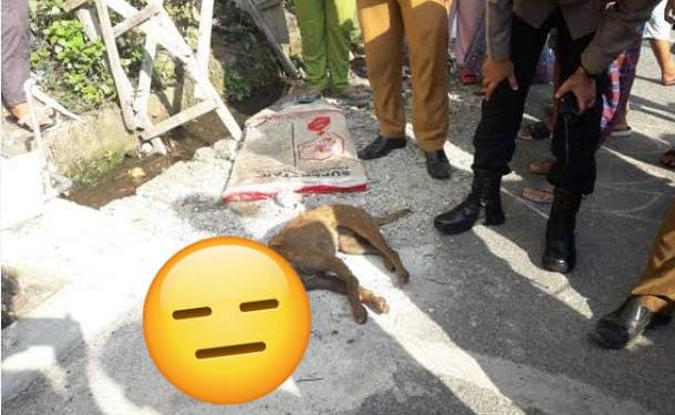 Beginilah Update Kondisi Terkini 22 Warga Padang yang Digigit Anjing Rabies yang Sempat Viral